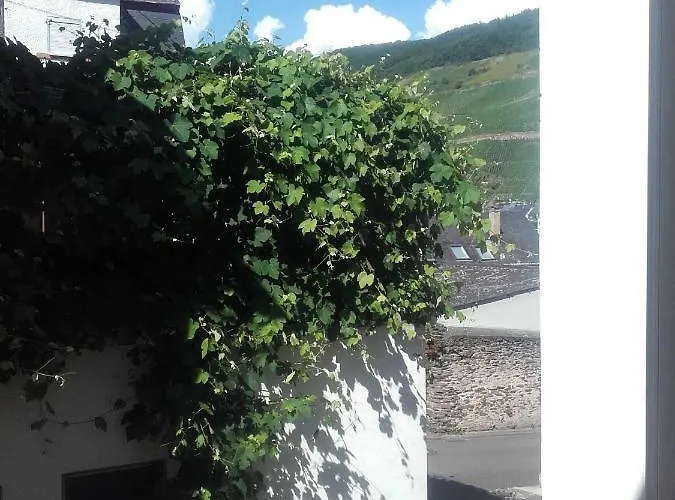 Ferienwohnung-hallebach * Zell an der Mosel